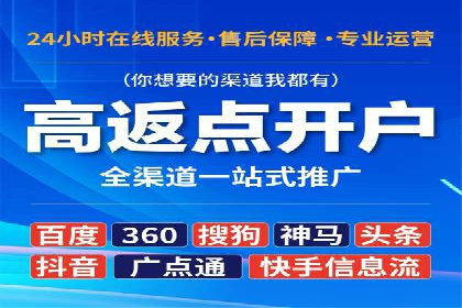 行业领先企业的SEM广告策略与效果分析